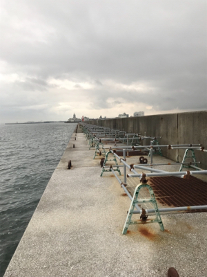 黒鯛釣りは楽しい！