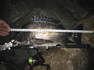 チヌ祭り‼️ 年無しゲット❗️