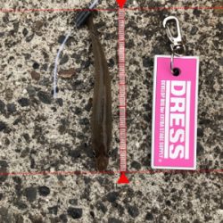 雨上がりのキス