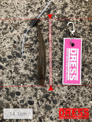 雨上がりのキス