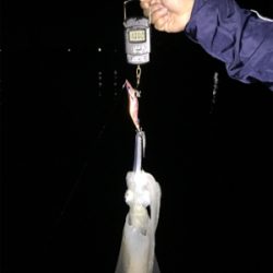 ホームエギング