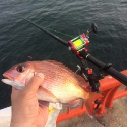 水潮だとこんなもん?