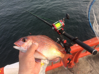 水潮だとこんなもん？