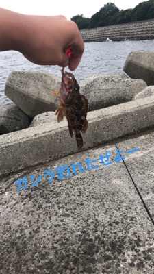 アナゴ釣りと五目釣り