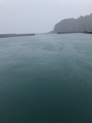 休み１日釣り三昧