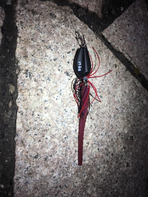 淀川ブリームゲーム 食い渋る際の対処法