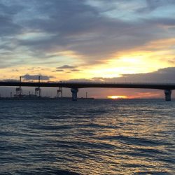 鰤くんゲットん