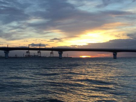 鰤くんゲットん