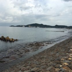 キス投げ釣りデビュー戦！