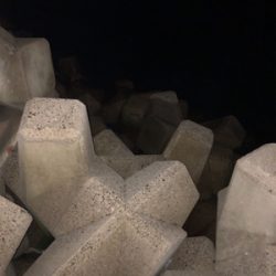 ロックフィッシュ