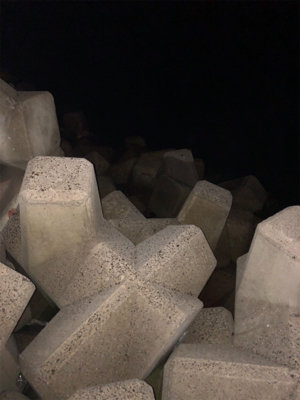 ロックフィッシュ