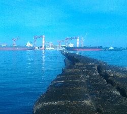 梅雨の隙みてメバル＆ガシラポンポン