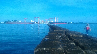 梅雨の隙みてメバル＆ガシラポンポン