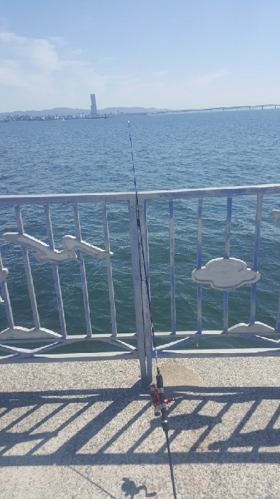 ガシラに遊んでもらいました