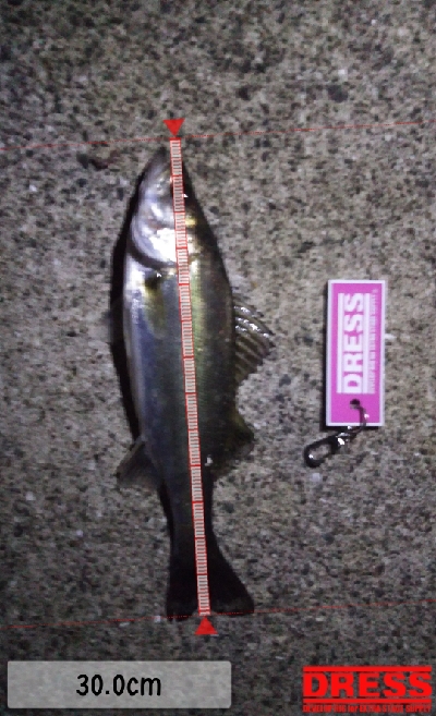 一時間の夜遊び