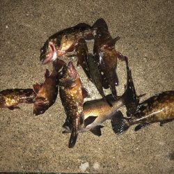 神戸ガシリング3