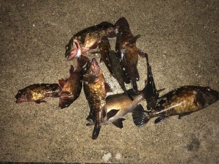 神戸ガシリング3