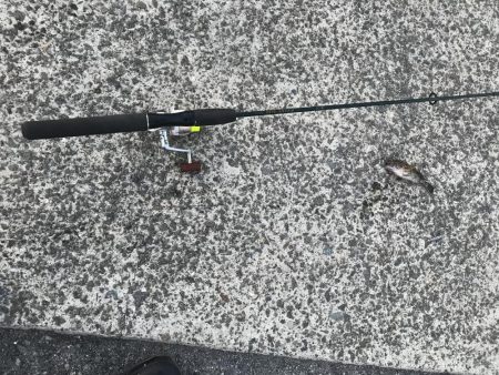 出勤前に。part4