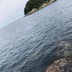 アオリ高活性!!