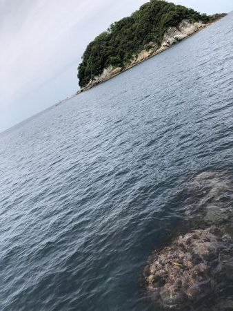 アオリ高活性!!