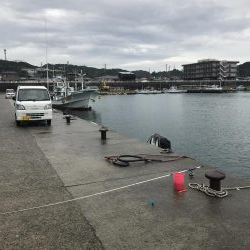あいにくの雨です