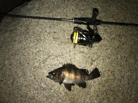 フォール➕デッドスロー