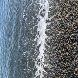 煙樹ヶ浜 ショアジギング