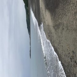 白浜〜田辺 ２