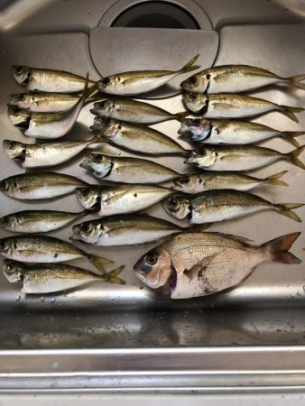 夜中まで粘る！