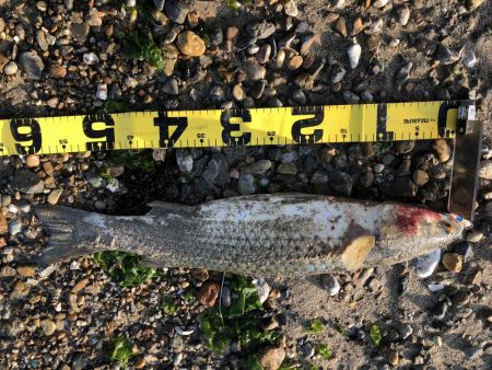 もうちょいでポン！