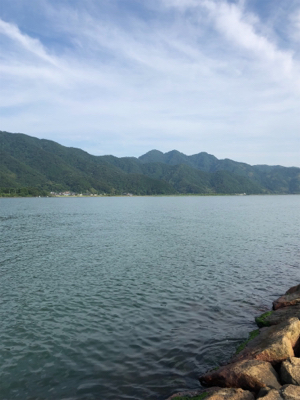 シーバス狙いに短時間勝負してきました