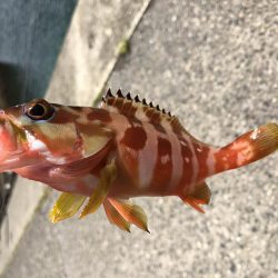 ファミリーフィッシング