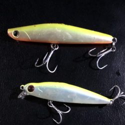 ひさびさシーバス