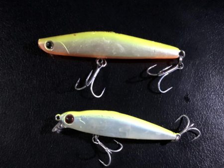 ひさびさシーバス