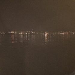 夜釣りなのに。