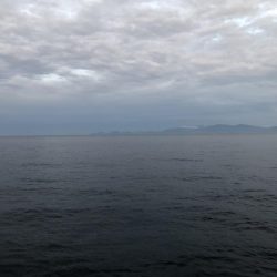 初めてのイカ釣り