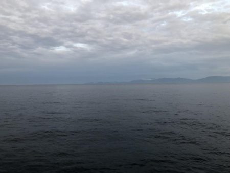 初めてのイカ釣り