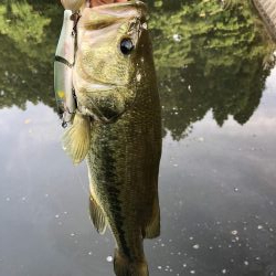 ジョイクロ 128テスト