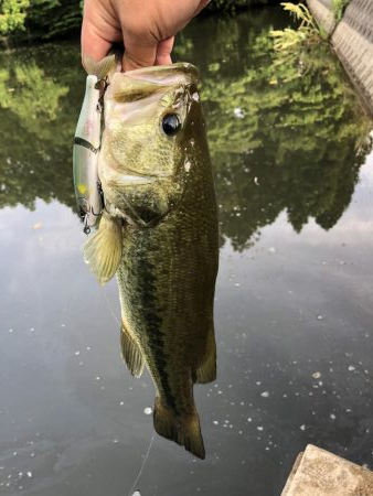 ジョイクロ 128テスト