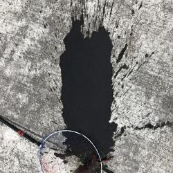 エギング歴1週間！4杯目