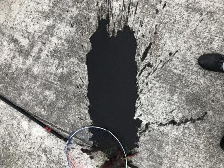 エギング歴1週間！4杯目