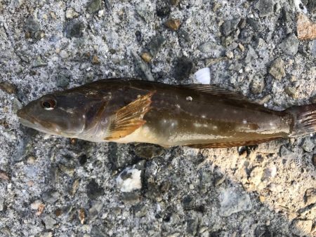 久々の大蔵海岸。