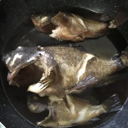 ホゴパラダイス！