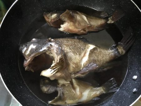 ホゴパラダイス！