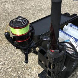 青物不発からのアオリ