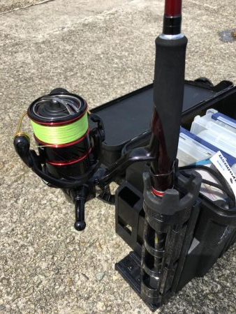 青物不発からのアオリ