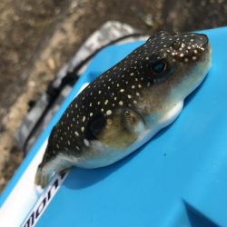 友人と五目釣り!