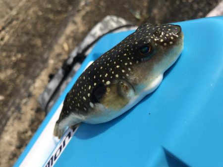 友人と五目釣り!