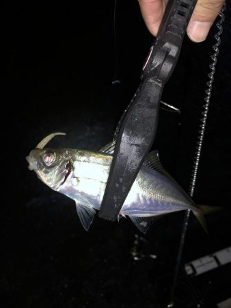 雨の中でのジグ単