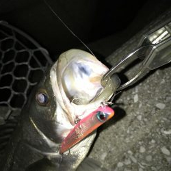 バチパターン終盤